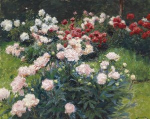 Peonías de Wilhelm Bernatzik